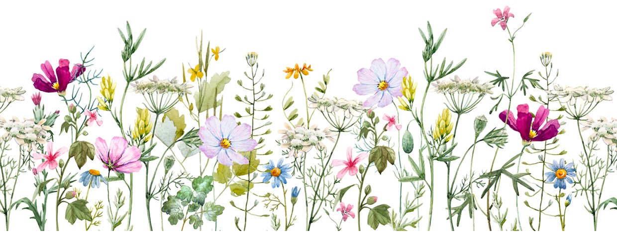 fleur1
